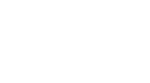 Xephyr